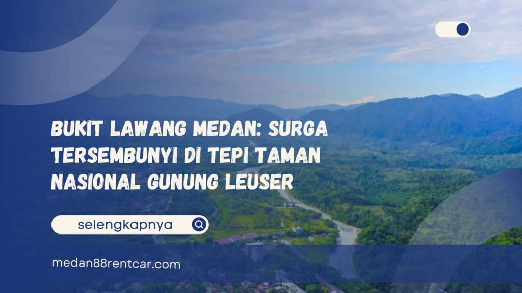 Bukit Lawang Medan Surga Tersembunyi di Tepi Taman Nasional Gunung Leuser